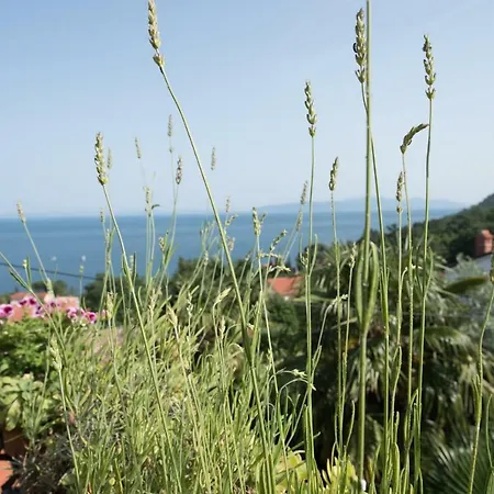 Zara Apartment Lovran